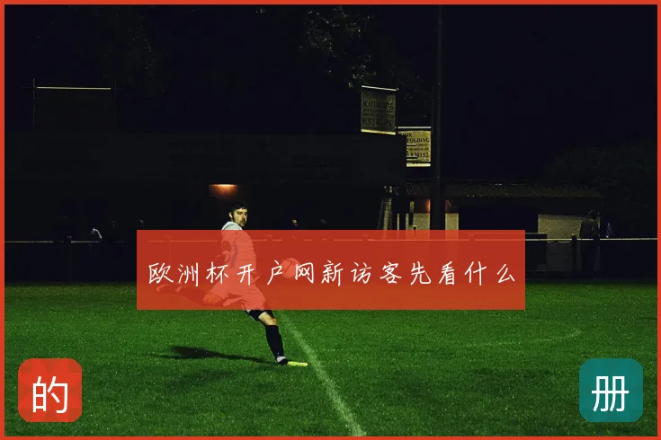 欧洲杯开户网新访客先看什么